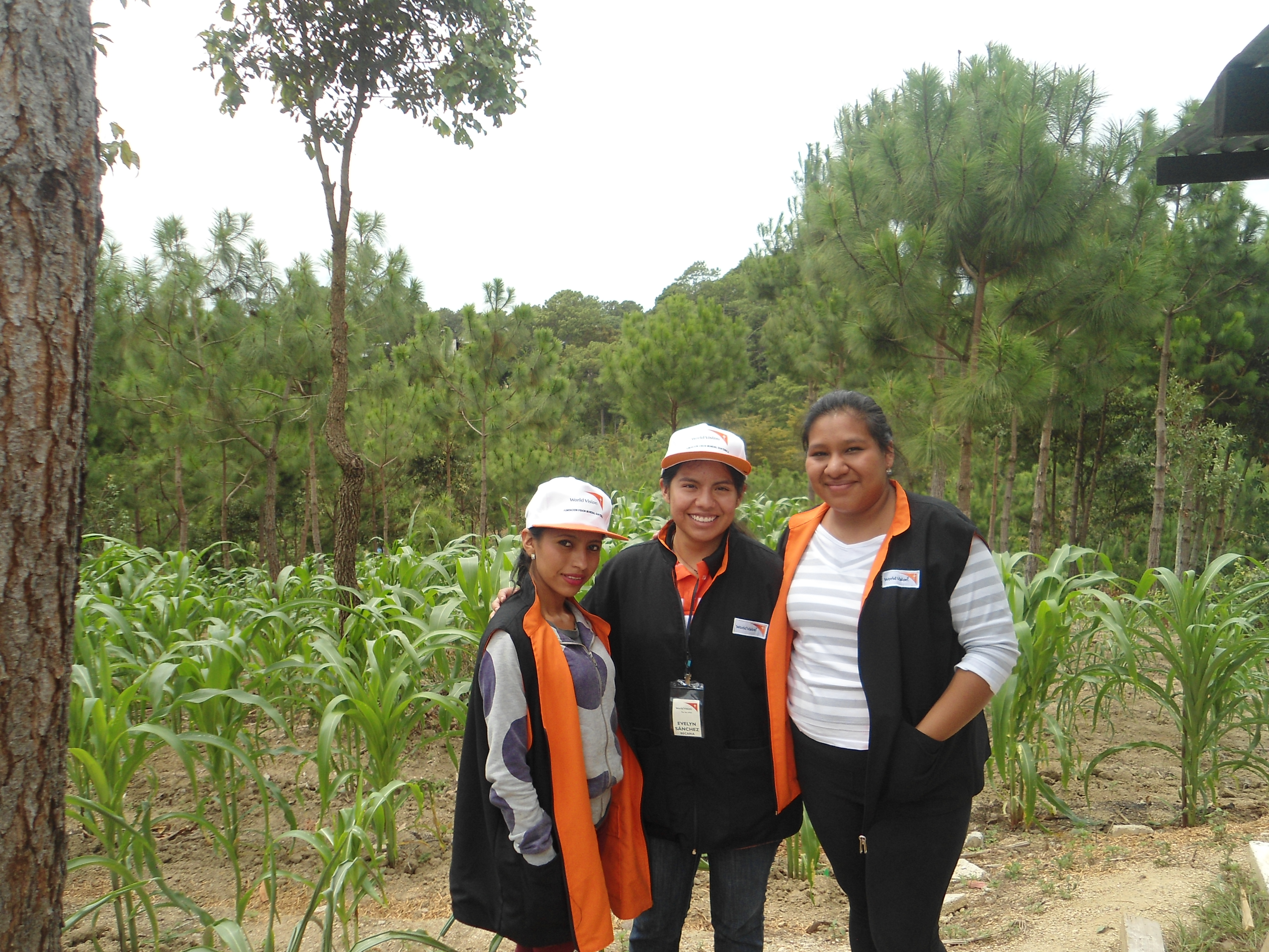 Enumerators.jpg